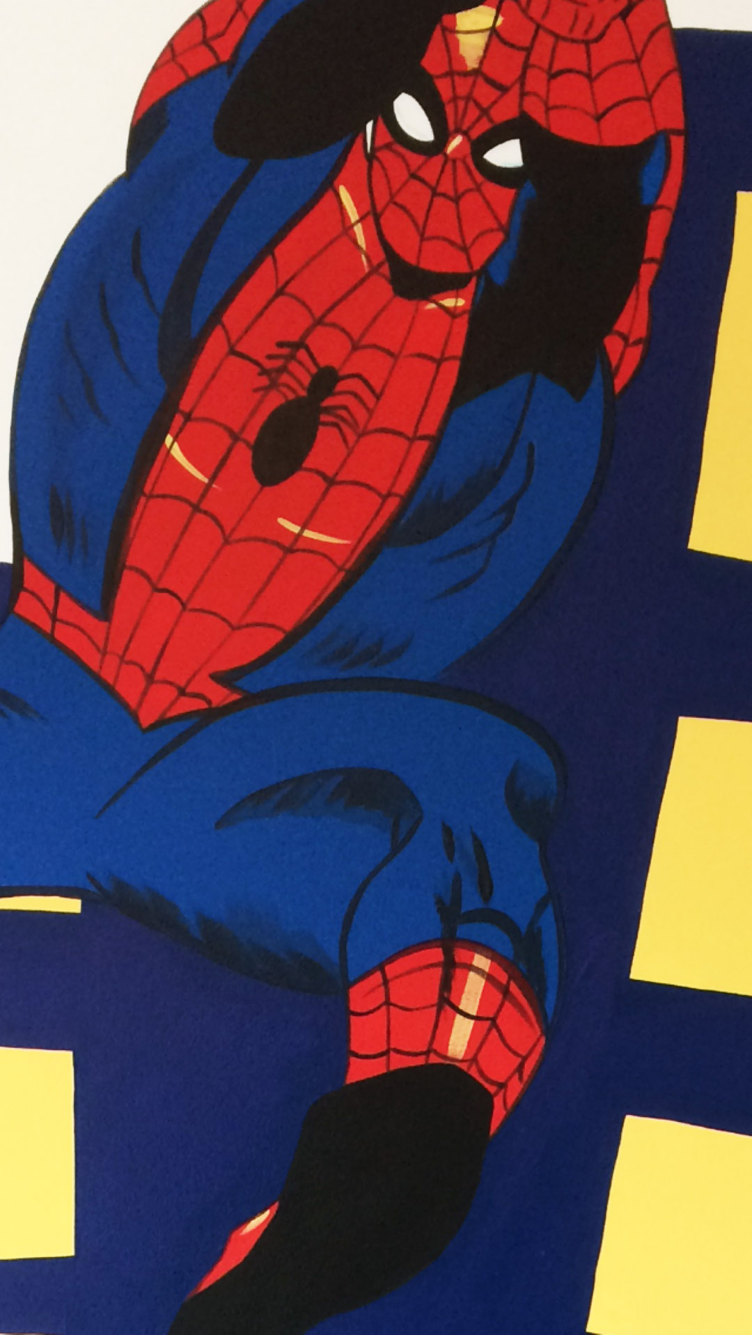 Spiderman Wall Mural.jpg