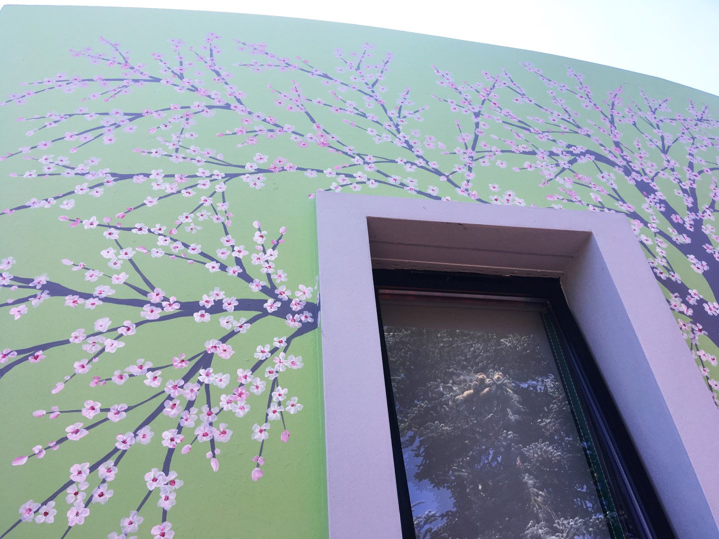 Close Up Blossom Mural.jpg