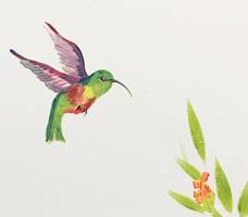 Hummingbird Close Up.jpg