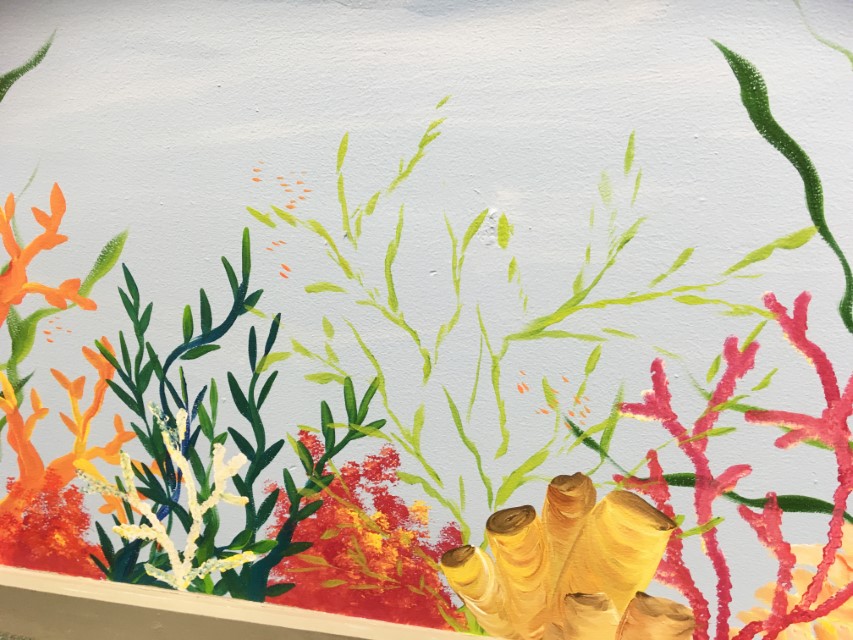 Coral Underwater Wall Mural.jpg