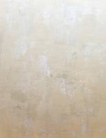 Morrocan Gold Full Paint Effect