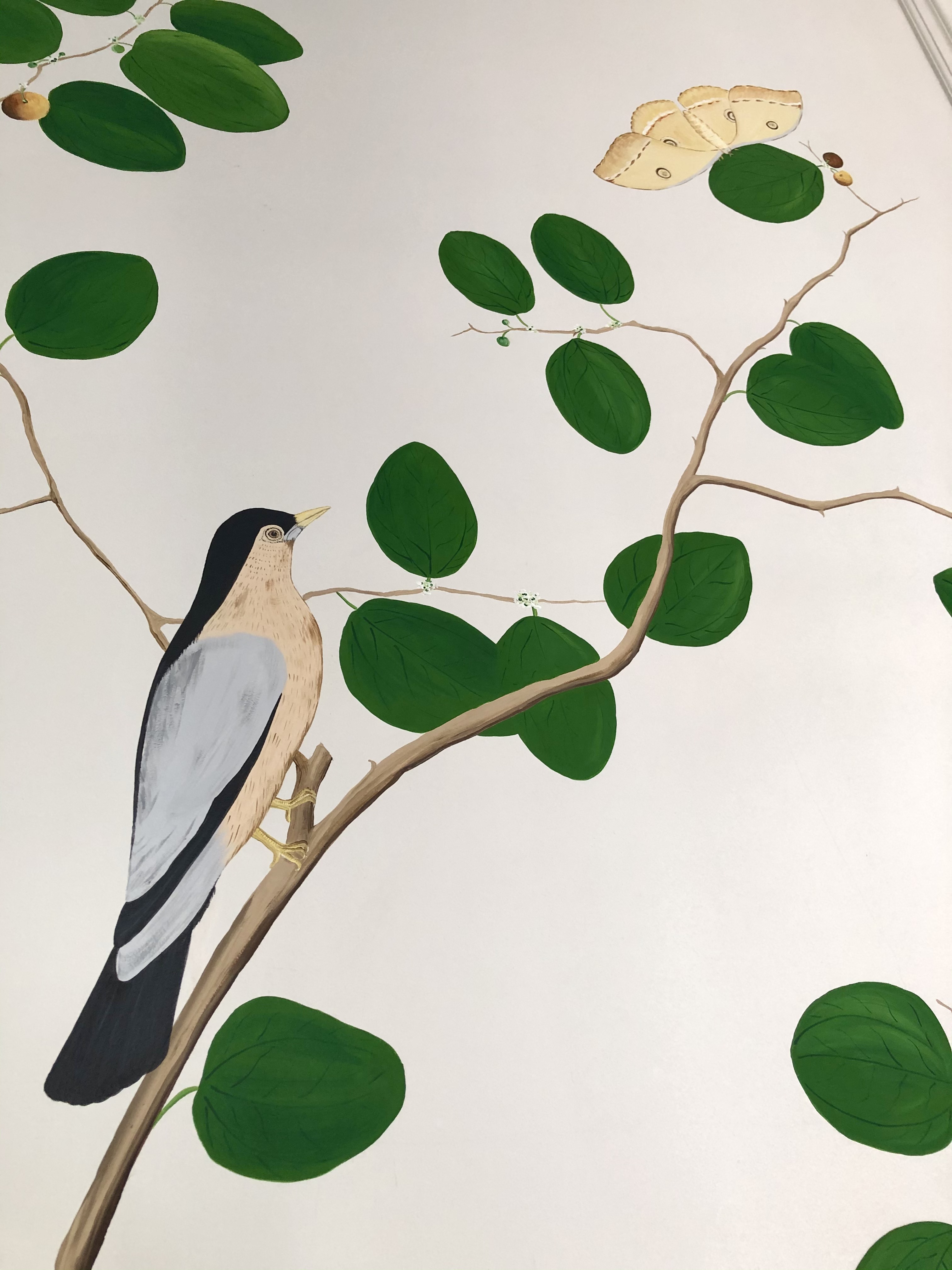 Moth & Bird Chinoiserie Mural Lrg