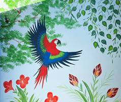 Parrot Wall Painting